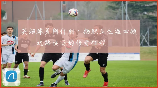 英超球员阿什利·扬职业生涯回顾，边路快马的传奇征程