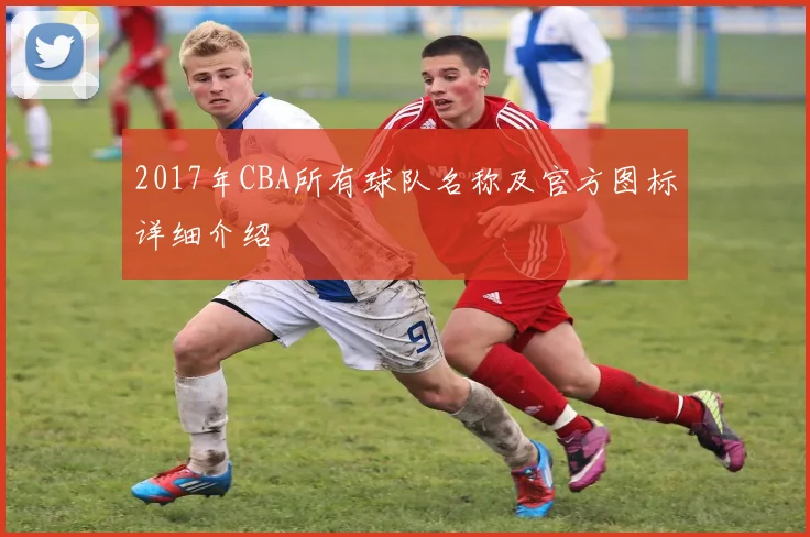 2017年CBA所有球队名称及官方图标详细介绍