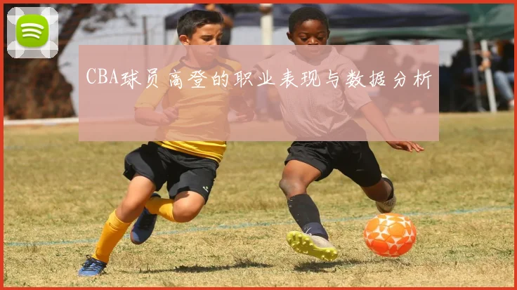 CBA球员高登的职业表现与数据分析