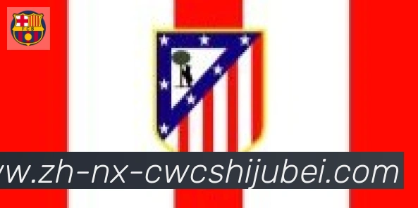 世界杯买球合作伙伴